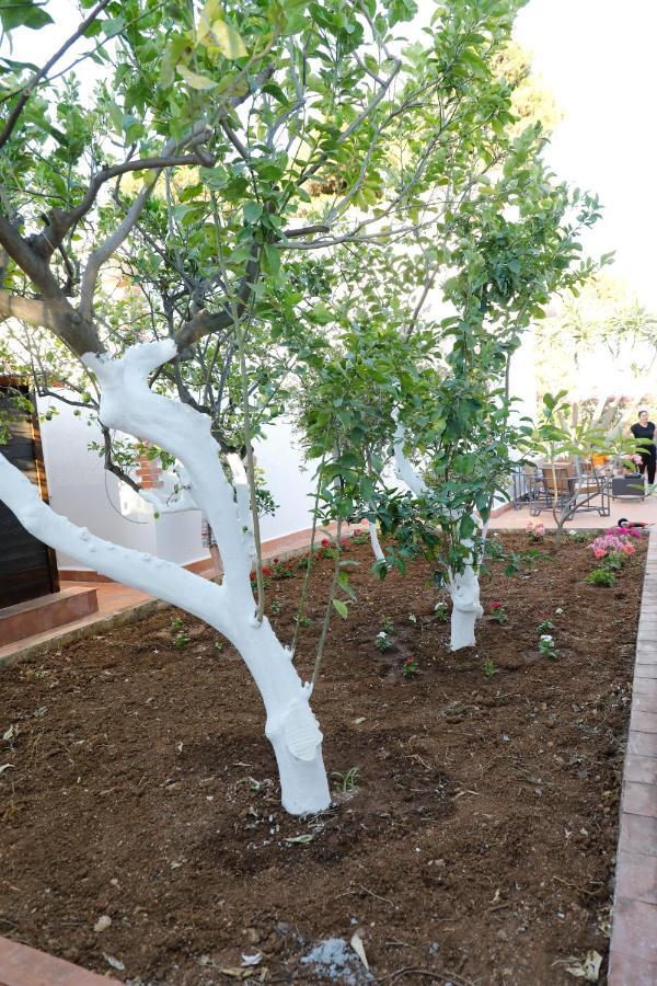 Holiday home Airport Sicily Palermo